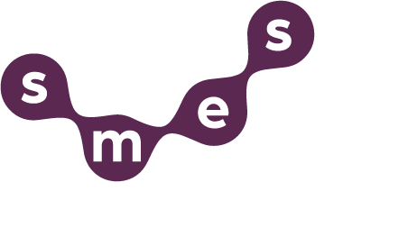 Smes – Housing First (Bruxelles)